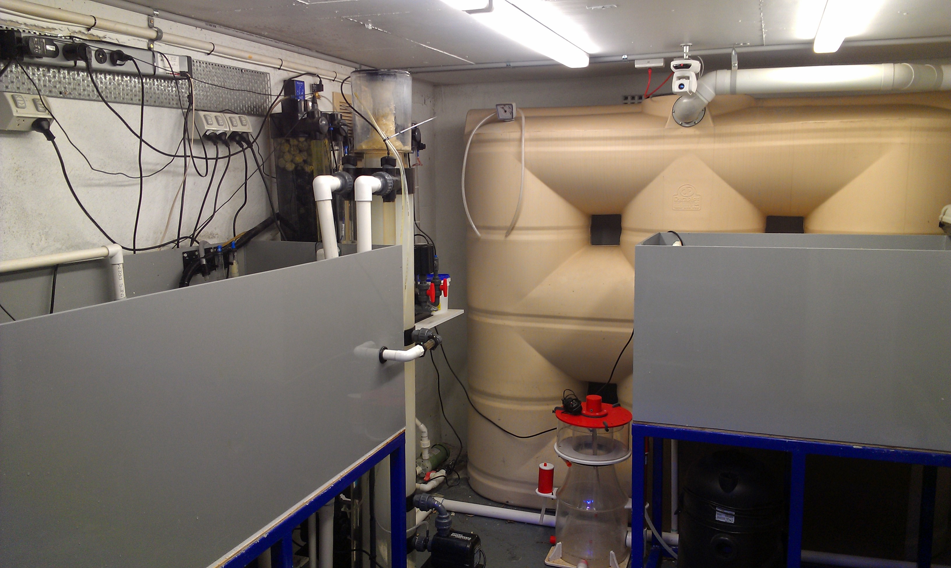 Marine reef aquarium plant room