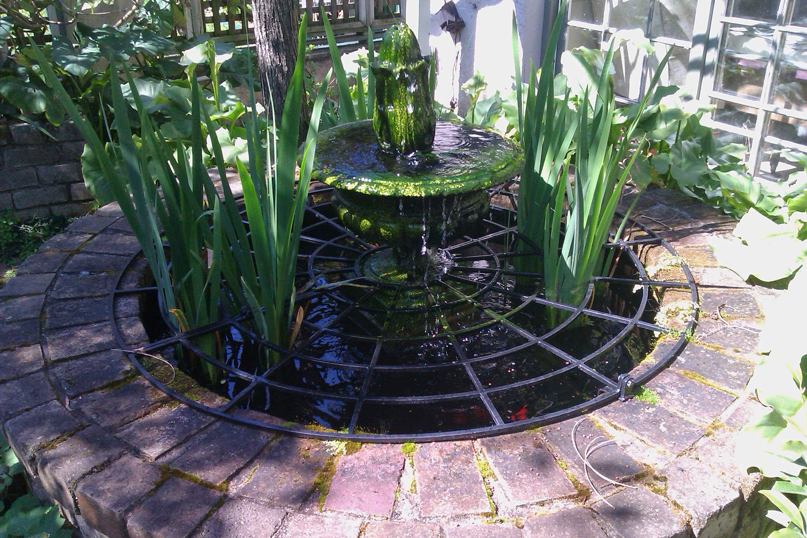 Water feature goldfish and plant pond and safety grille