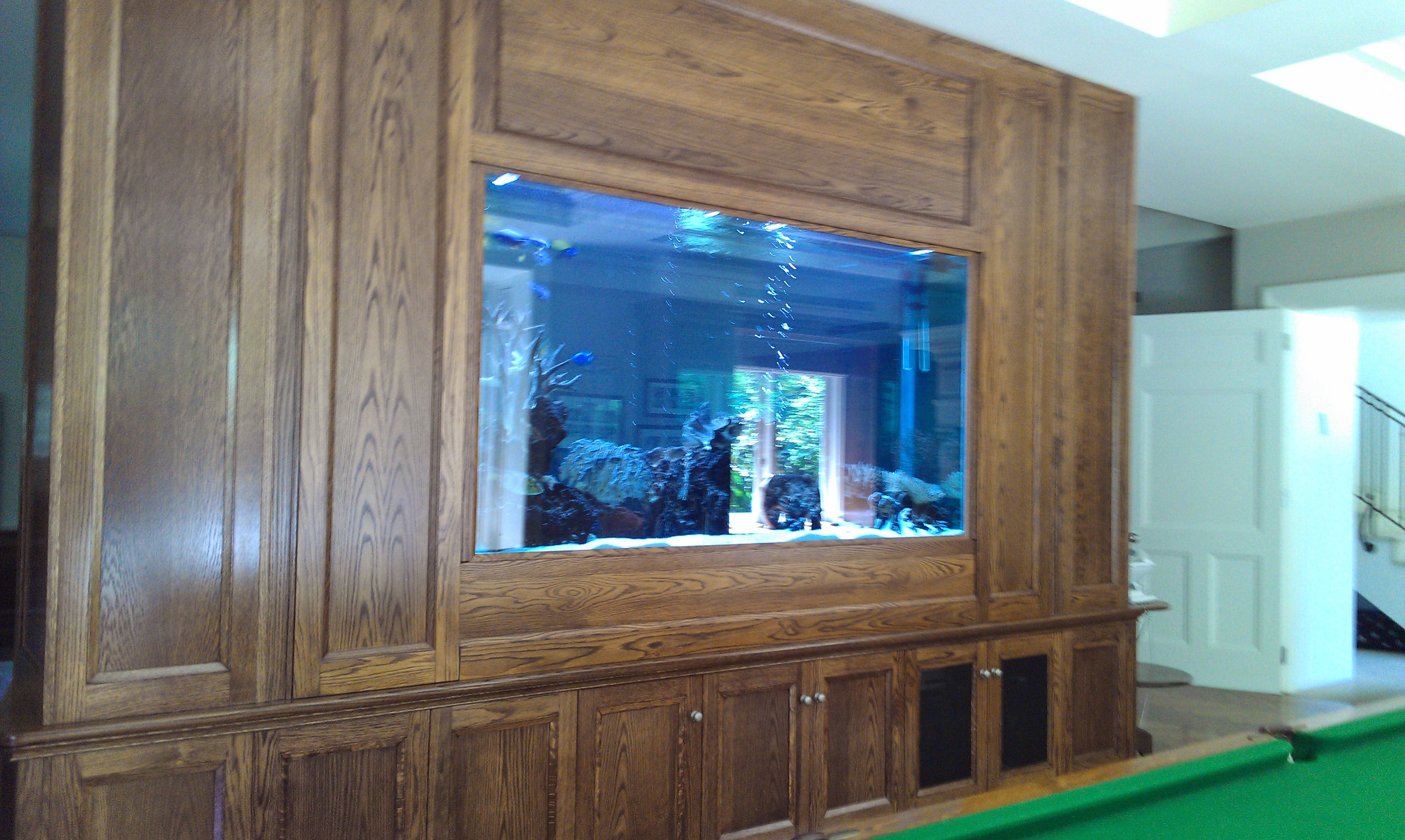 Large tropical aquarium