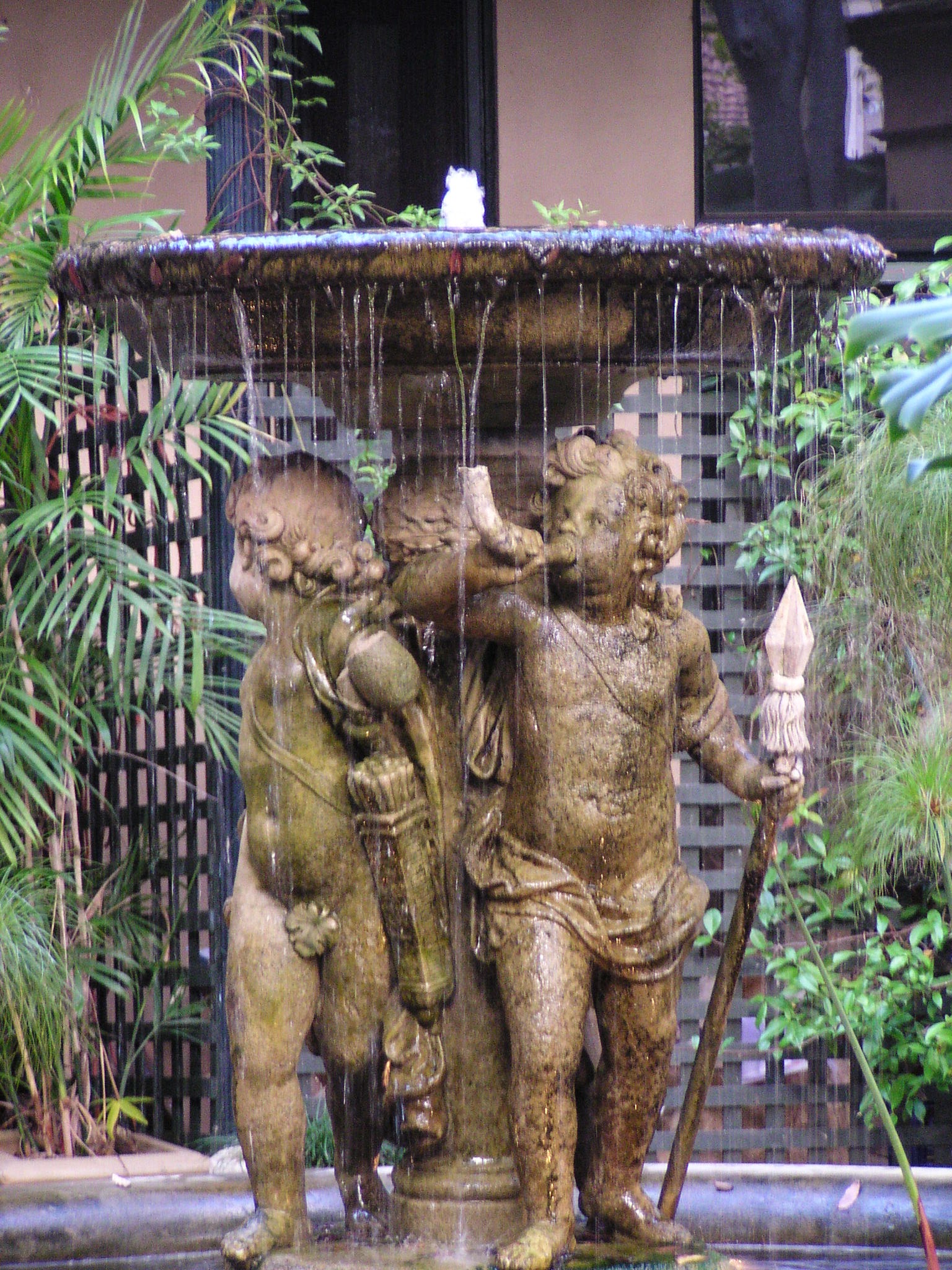 Water feature koi goldfish and plant pond