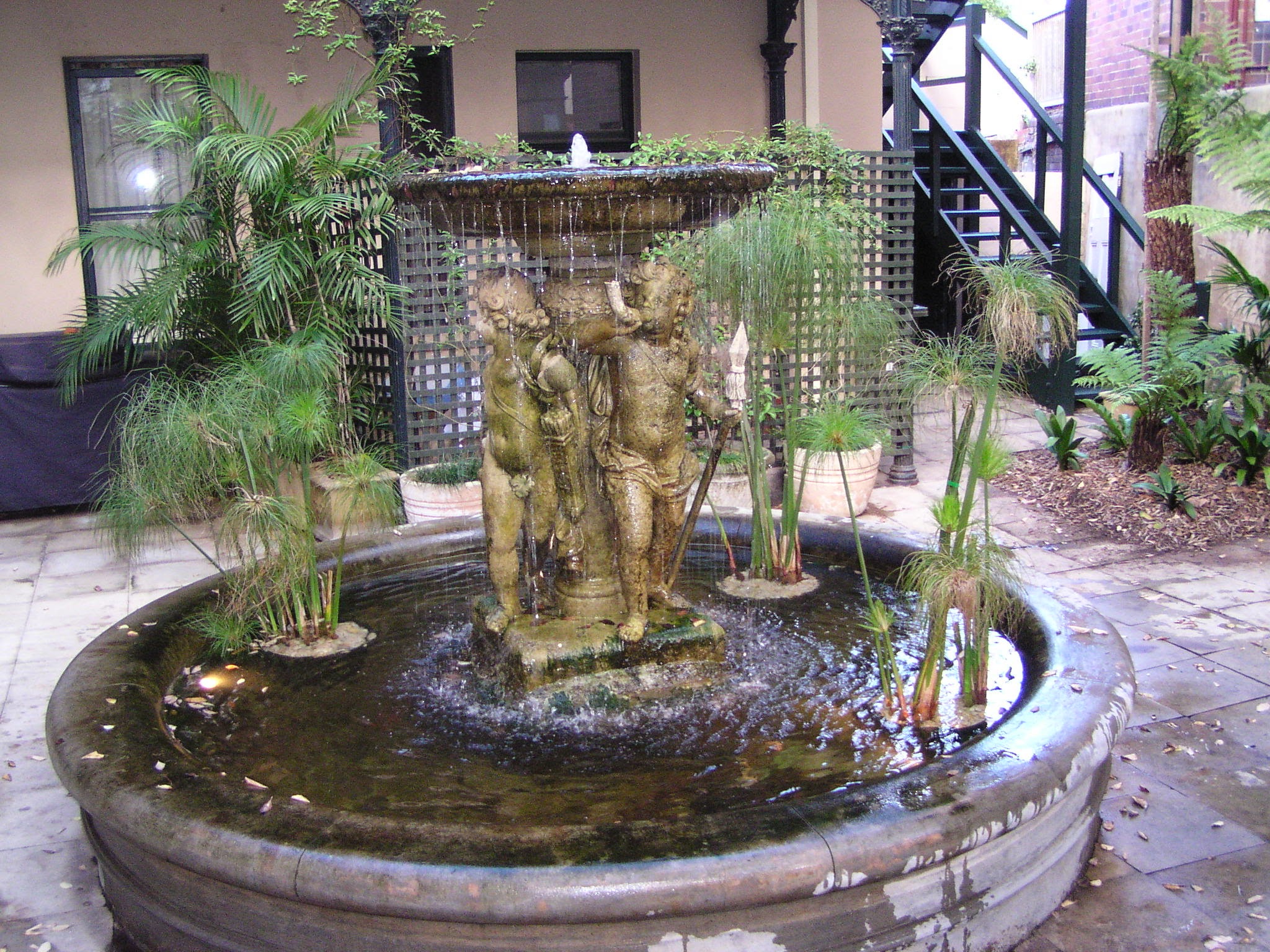 Water feature koi goldfish and plant pond