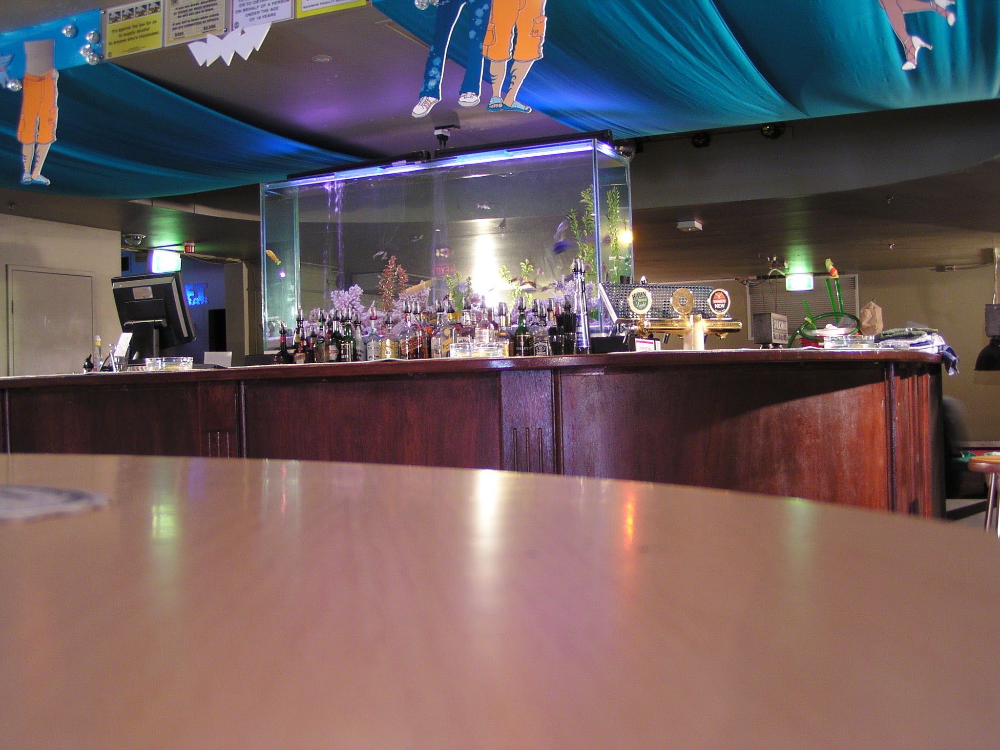 Large tropical aquarium install