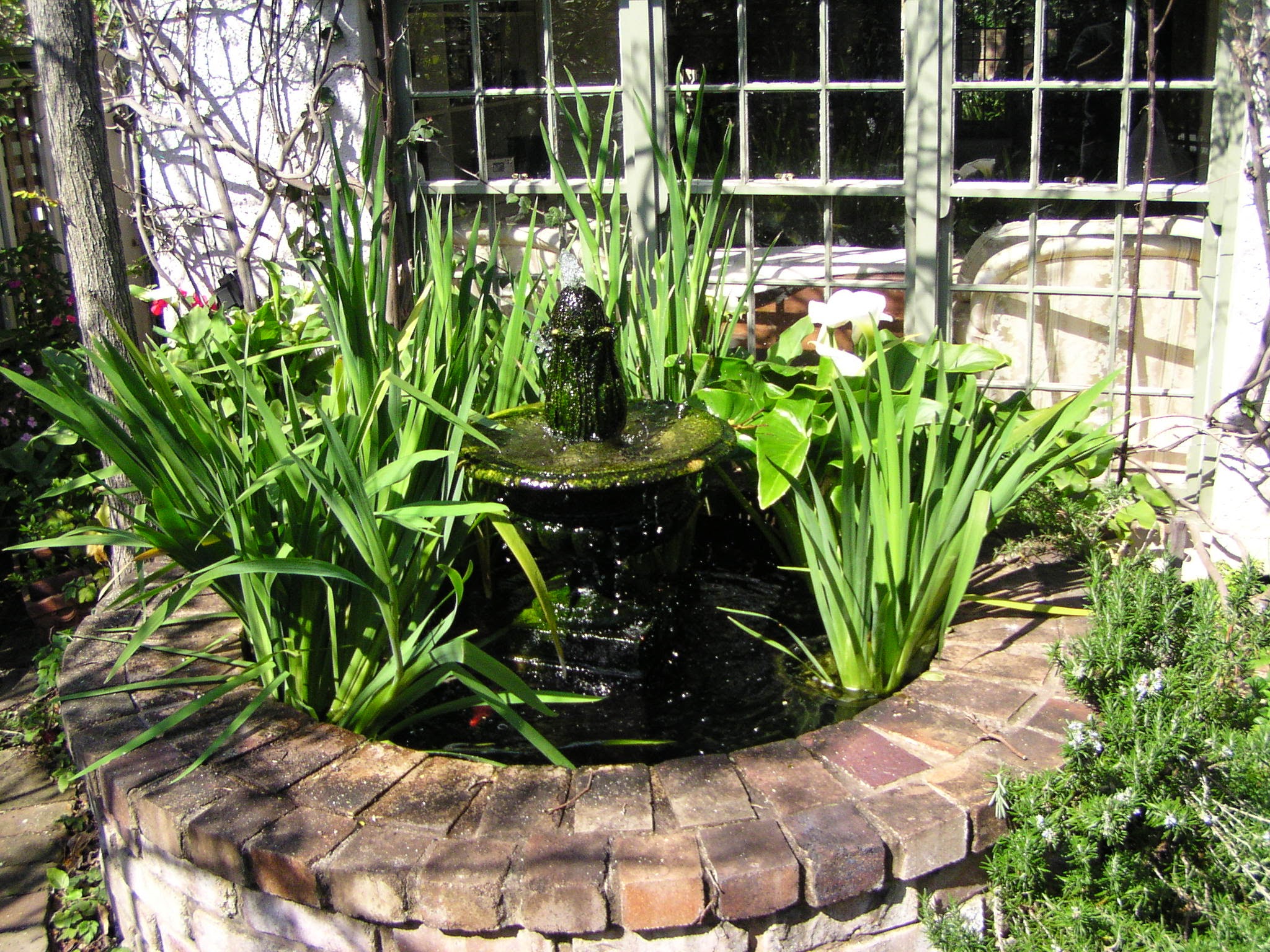 Water feature goldfish and plant pond