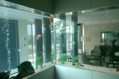 Large tropical aquarium install
