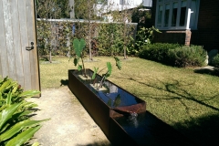 Plant and water feature pond