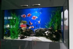 Tropical aquarium install