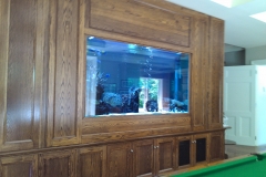 Large tropical aquarium