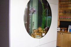 Large marine aquarium