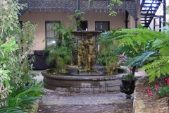 Water feature koi goldfish and plant pond