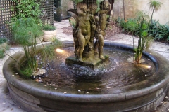 Water feature koi goldfish and plant pond