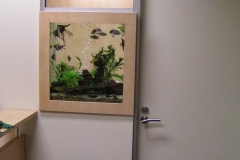 Office aquarium install
