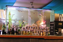 Large tropical aquarium install