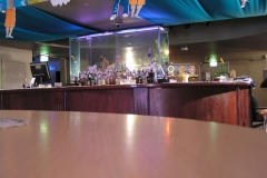 Large tropical aquarium install