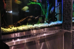 Large tropical aquarium