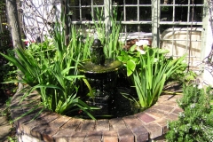 Water feature goldfish and plant pond