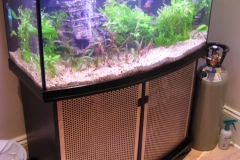 Tropical planted aquarium