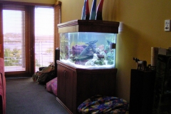Marine aquarium